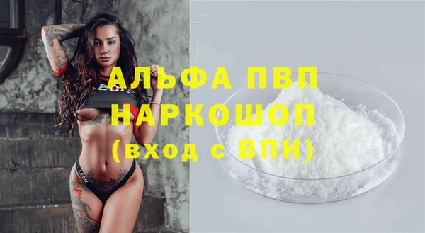 гашик Галич