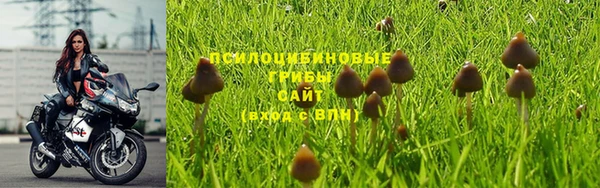 винт Осташков