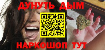 мдпв Кингисепп