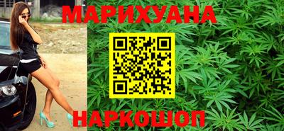мдпв Кингисепп