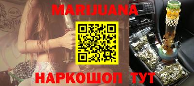 мдпв Кингисепп
