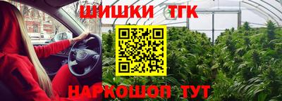 мдпв Кингисепп