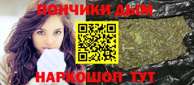 мдпв Кингисепп
