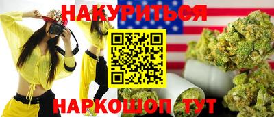 мдпв Кингисепп