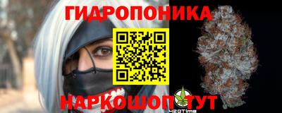 мдпв Кингисепп
