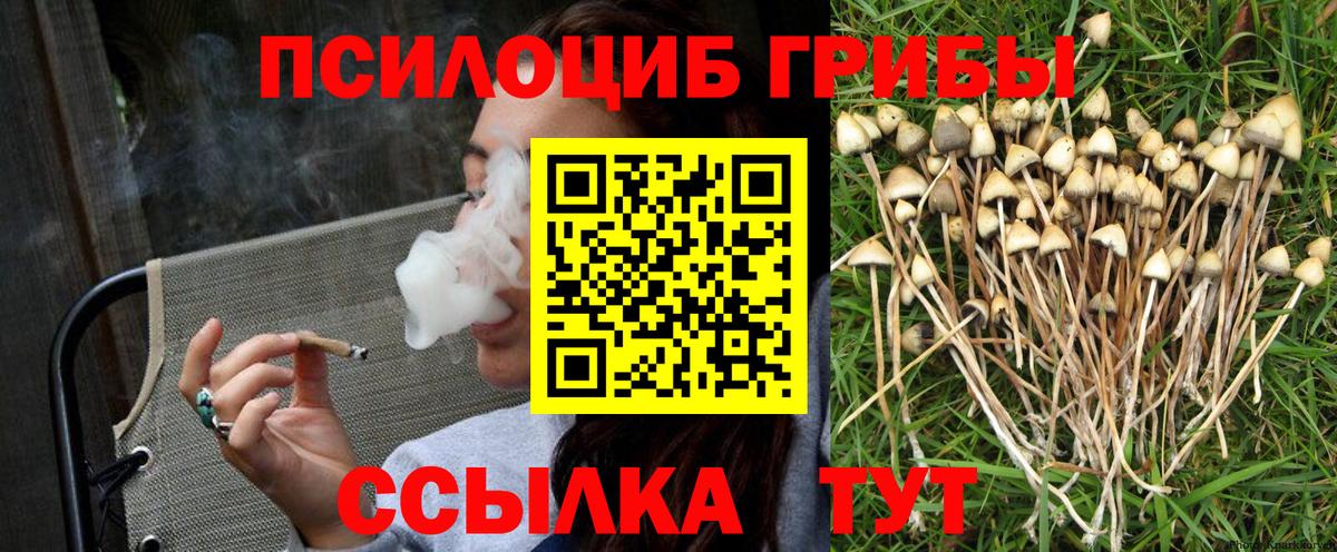 Галлюциногенные грибы GOLDEN TEACHER Ступино