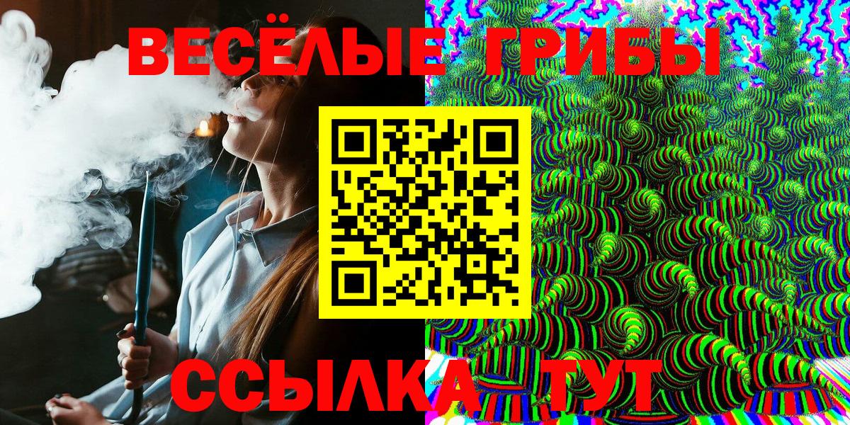 Ступино  Галлюциногенные грибы Cubensis  Вход с VPN 